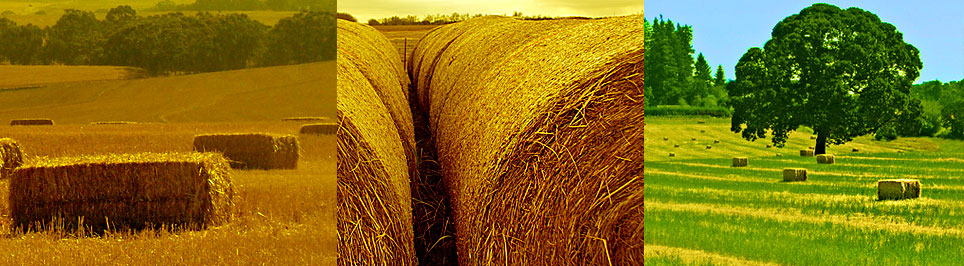 Save Hay - whether it's Large Square Bales, Small Square Bales, or Round Hay Bales!